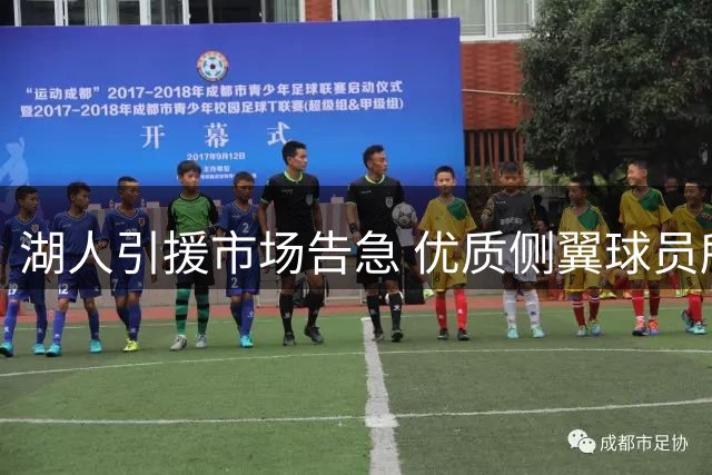 湖人引援市场告急 优质侧翼球员所剩无几