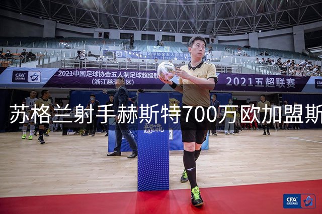 苏格兰射手赫斯特700万欧加盟斯托克城 签三年长约